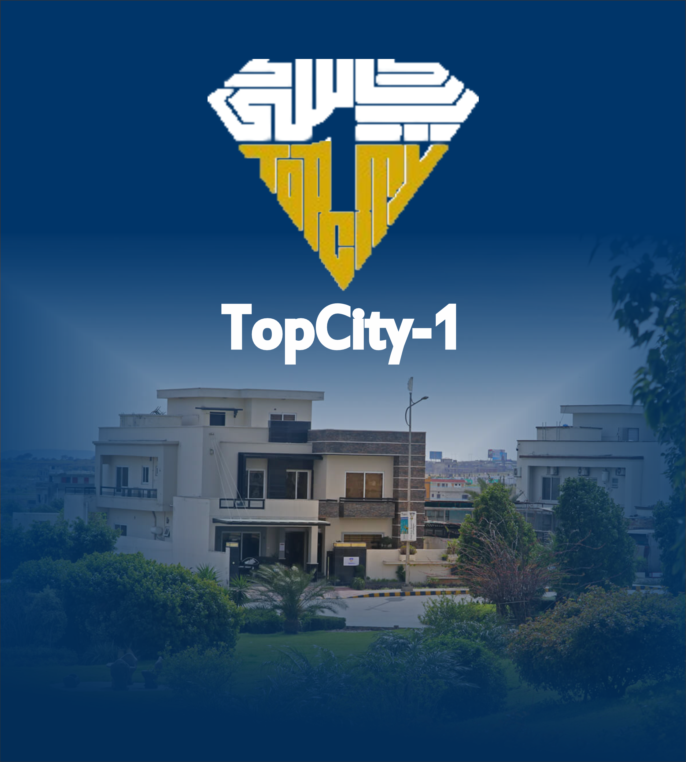auralandmarketing